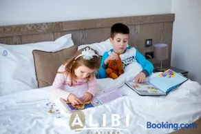 Alibi Zlatibor Inn - Image 3