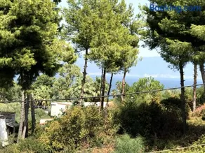 Studio Kalypso - Image 3