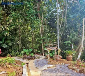 Lodge espiritu del jaguarjundi - Image 2