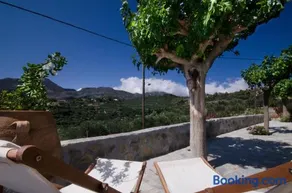 Kallimento-Dimitra - Image 2