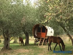 Le Camping de Cucugnan - Image 3