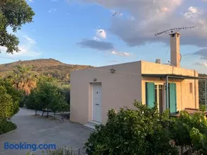 Golden Hour on the Hill - Image 1