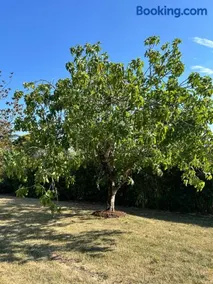 Accommodation - Le Clos des Pères - Image 2