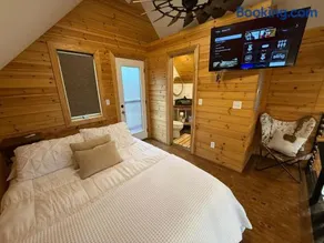 Tree Cabin in Bentonville - Image 5