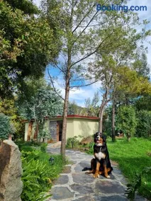 Casa del Bosque - Image 3