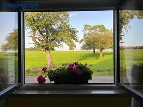 Le Gite de la Waldmatt - SPA & Sauna - Proche La Petite- Pierre - Piscine, calme et détente - Image 2