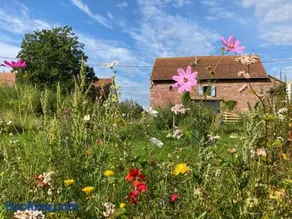 La Grange de Bois de Chêne - Image 2