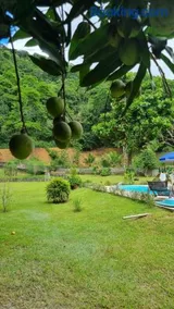 Sítio da Família S&M - Image 1