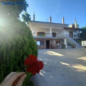 VILA PASHA - Image 1