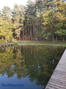 Leśny Azyl Bory Tucholskie - Image 4