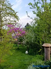 Chabatz d entraz - Image 2