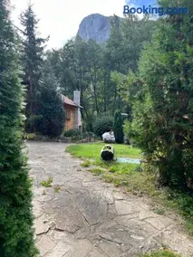 Studiouri Valisoara - Image 2