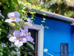 Villa Khatun Guesthouse - Peaceful Boutique Guesthouse near Fontainhas in Panjim - Image 2