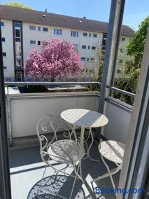 Sonnenschein - Image 4