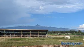 The Besotted Cottage at Mount Kenya Farm Stay - Image 4