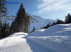 Il Terrazzo Sulle Dolomiti - Image 1