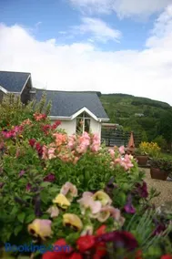 Wicklow Way Lodge - Image 2