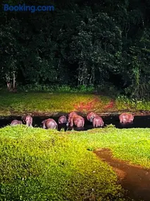 Casa Nube Resort Munnar - Image 2