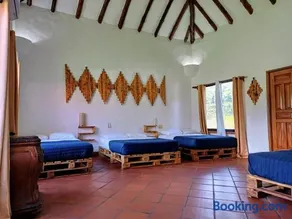 Mia Nueva Gorgona - Image 4