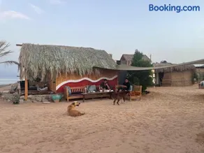 Live the bedouinlife - Image 1