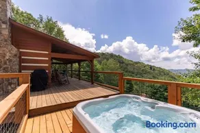 Silverleaf - Image 2