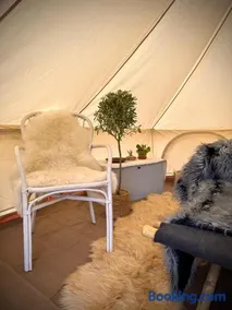 Glamping med alpackor - Image 4