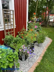 Private house in central Umeå with many bedrooms - Image 3