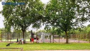 Hestehaven Camping - Image 4