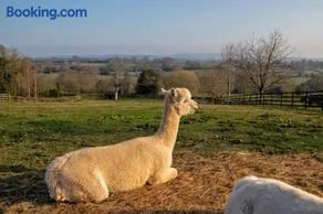 Zoe's Cottage with Alpaca's and 7 mins drive to Alton Towers - Image 5
