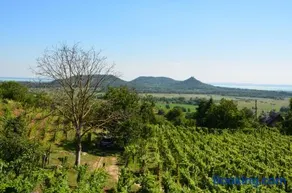 Grand Cru 3. Vendégház - Image 4
