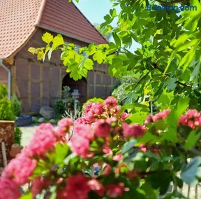 Mutti 's Landhof - Image 2