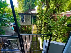 Green House's - Image 4