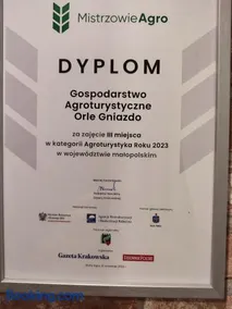 Willa Orle Gniazdo - Image 2