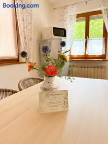Praxis Löwenzahn, ehemalige Landarztpraxis im Fränkischen Seenland - 6 Personen - Image 4