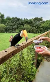 Belíssima Chácara de Alto Padrão em Boituva - Image 4