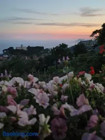 La Casa Dei Nonni - Image 2