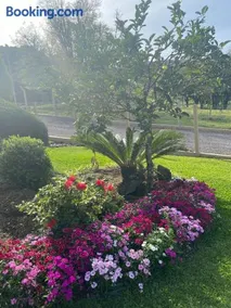 Sítio das Flores - Image 5
