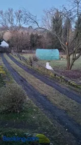 Southfork Farma Všetice - Image 4