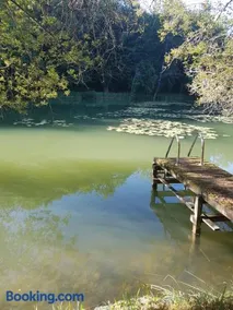 Manoir Périgord Noir/Piscine chauffée/Etang&Forêt - Image 3