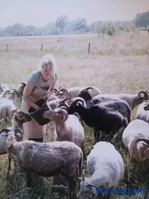 Pipowagen Elsebein Groningen Westerwolde unieke ligging met eigen tuin en vrij uitzicht over veld naar natuurgebied - Image 3