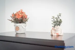 Apartamento Caravel - Image 3