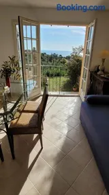 Seaview house, close Cannes, pool, garden. garage - Image 2