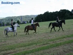 Pferd - Spaß - Entspannung - Image 1