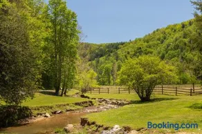 Mustang Haven - Image 3