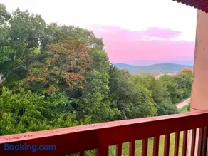 Cozy Lakeside Getaway - Outdoor Theater - Free Early Check-In- 4min to Silver Dollar City - Image 4