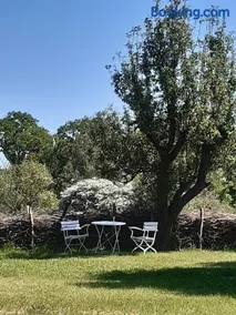 Ferienwohnung Wald und Weitblick - Image 3