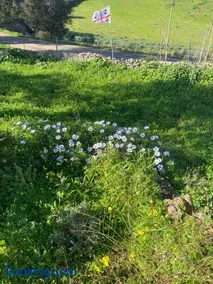 Guesthouse Momenc de Pesc - Image 3