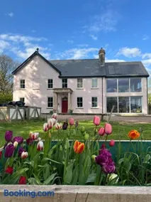 The Pink House - Image 1