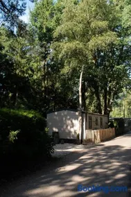 't Veluws Nest - Knus Chalet Veluwe - Hoenderloo, Honden welkom - Image 2
