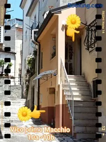 B&b IL GIRASOLE INTERO APPARTAMENTO CENTRALISSIMO - Image 2